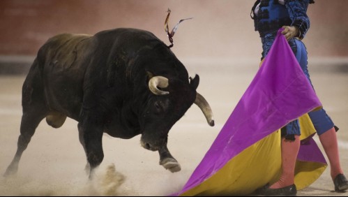 'Nigeriano' y 'Feminista': Los polémicos nombres de dos toros que dejan sin corridas a ciudad española
