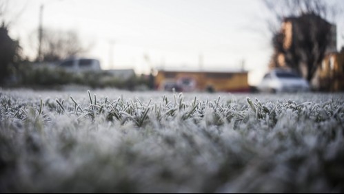 Emiten alerta por ola de frío en zona centro-sur: Temperaturas bajarán hasta los -4 grados