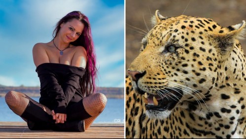 Modelo atacada por leopardo durante una sesión de fotos asegura que felino 'me mordió la cabeza una y otra vez'