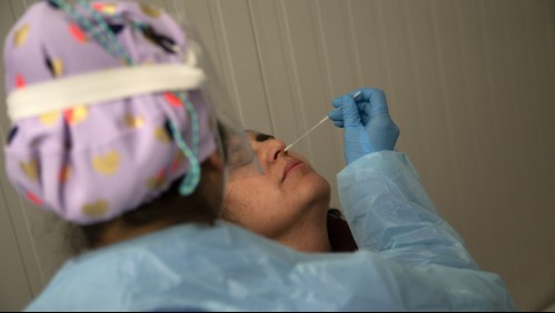 Variante 'Mu' ya está presente en Chile: Estas son sus características