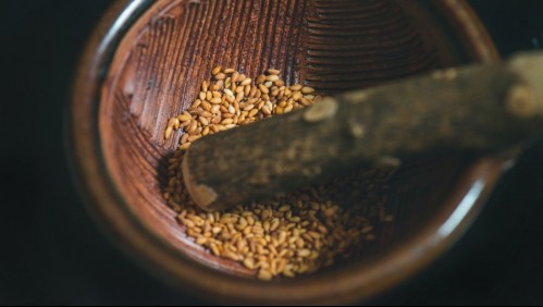 Para bajar el colesterol y triglicéridos: Esta es la semilla que te podría ayudar