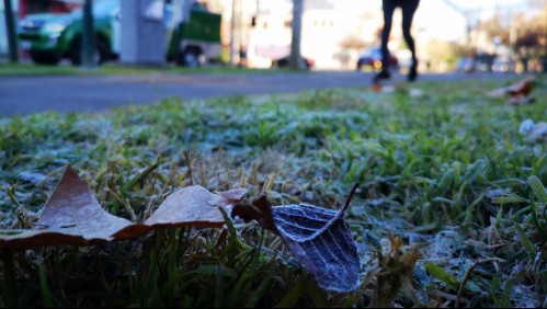 Emiten alerta por heladas en la Región Metropolitana y en otras cinco regiones del país