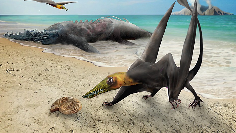 dragon-volador-chile Identifican enigmáticos restos de