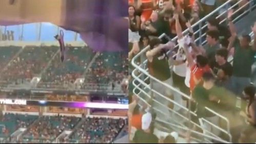 Hinchas salvaron a un gato que colgaba del techo de un estadio de fútbol: Fue mostrado a lo 'Rey León'