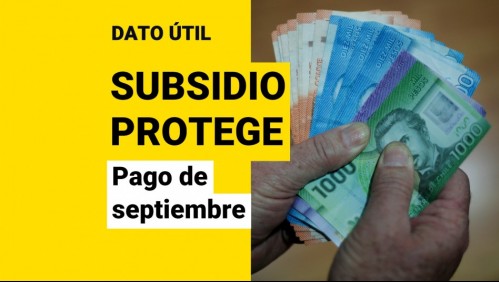 Inicia pago del Subsidio Protege de septiembre: ¿Quiénes son los beneficiarios y qué monto reciben?