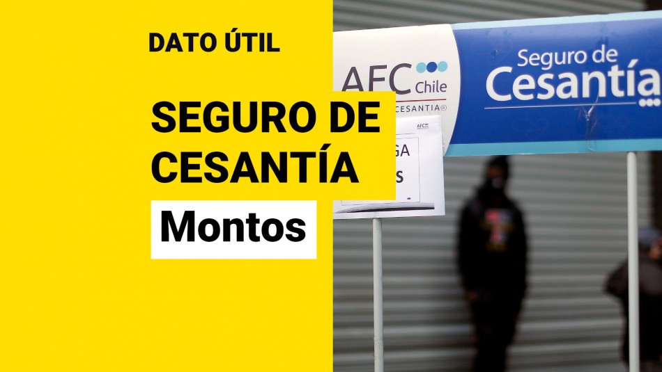 seguro-de-cesantia seguro de cesantia