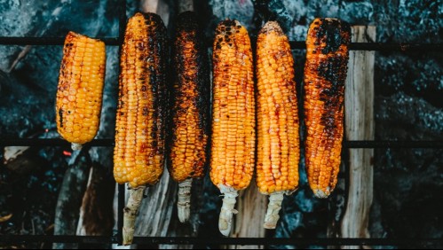Para la parrilla o la ensalada: Estos son los beneficios del choclo