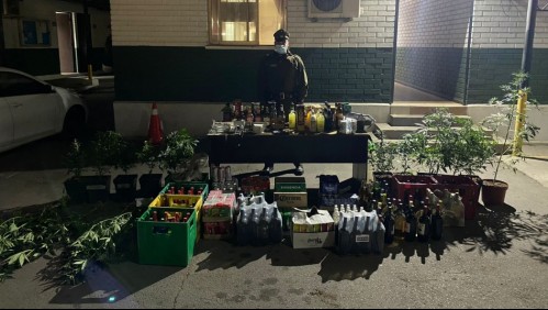 Incautan más de 10 millones de pesos en droga en pub clandestino en Renca