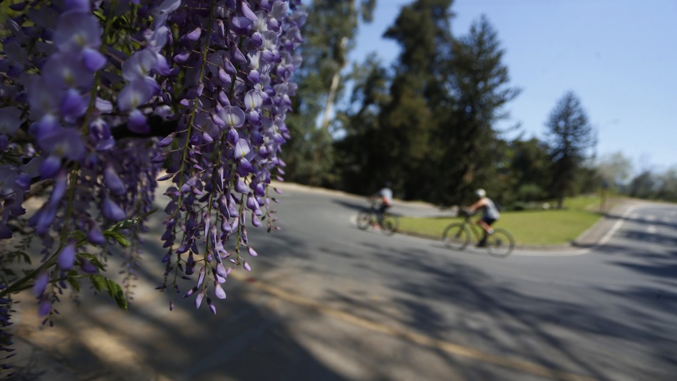 inicio-de-la-primavera ¿Cuándo empieza la primavera? Revisa el día y hora exacta del cambio de estación
