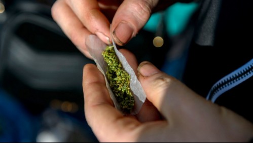 Estudio revela aumento de vómitos incontrolables y dolores abdominales por el consumo de marihuana