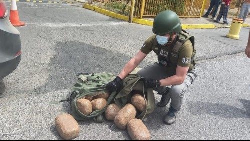 Carabineros detiene a cuatro integrantes de una banda que comercializaba marihuana en la frontera norte