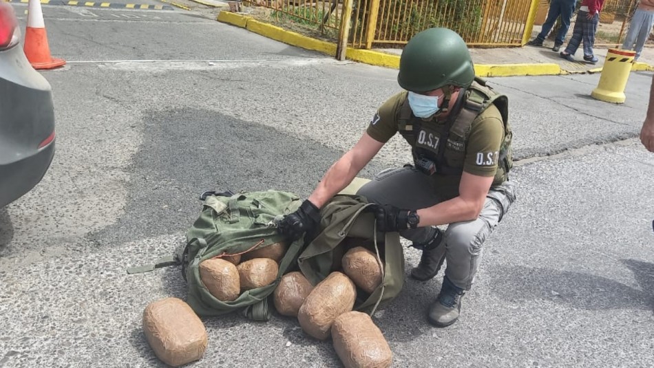 Carabineros detiene a cuatro integrantes de una banda que comercializaba marihuana en la frontera norte Carabineros detiene a cuatro integrantes de una banda que comercializaba marihuana en la frontera norte