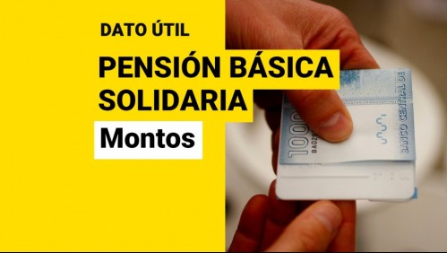 Pensión Básica Solidaria: ¿Cuáles son sus actuales montos y en cuánto aumentarían?