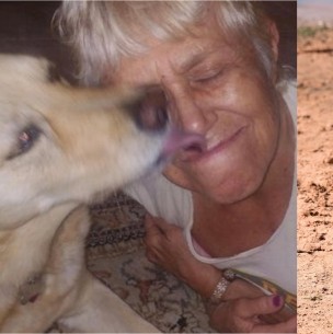 Adulta mayor salva a su perro saltando sobre un caimán: Adulta mayor salva a su perro saltando sobre un caimán: