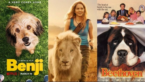 Estas son 10 películas sobre animales disponibles en Netflix y Amazon Prime Video
