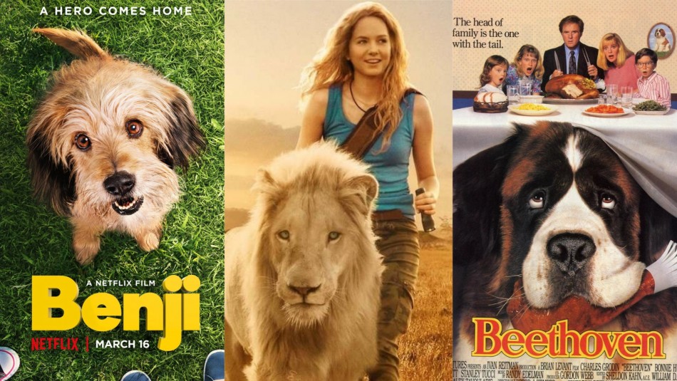 Estas son 10 películas sobre animales disponibles en Netflix y Amazon Prime Video Estas son 10 películas sobre animales disponibles en Netflix y Amazon Prime Video