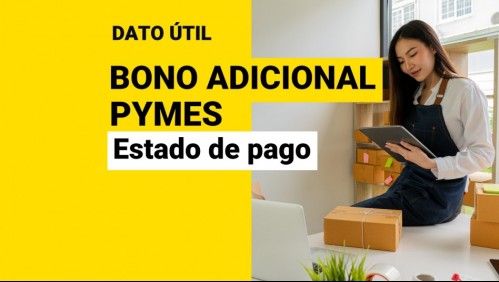 Bono Adicional IVA para Pymes: ¿Cómo revisar el estado de pago?