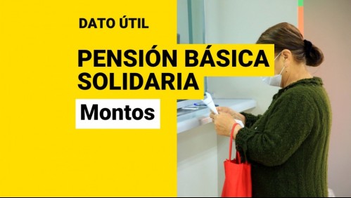 Pensión Básica Solidaria: ¿Qué montos entrega y cuánto aumentarían con la Ley Corta de Pensiones?