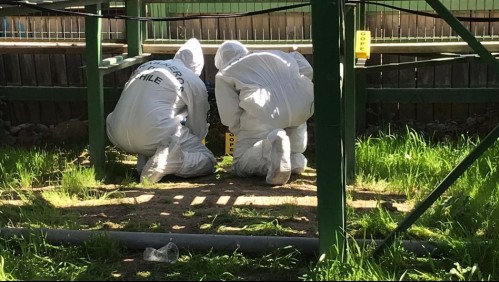 Detectan artefactos explosivos en medialuna de San Bernardo: Encontraron panfletos alusivos a la protección animal