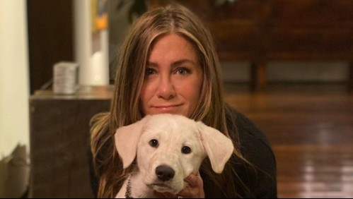 Jennifer Aniston revela diagnóstico de dislexia: Descubre cómo es esta condición