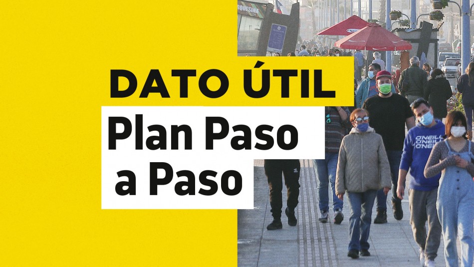 plan-paso-a-paso Plan Paso a Paso