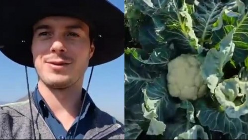 '¿Conocían la planta?': Tiktoker se hace viral al confundir el brócoli con la coliflor