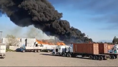 Gigantesco incendio afecta a planta de Agrozzi en Teno