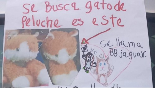 'Es mi mejor amigo de toda la vida': niña de 7 años se vuelve viral tras ofrecer recompensa por su peluche perdido