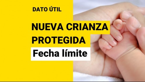 Nueva Crianza Protegida: ¿Cuál es la fecha límite para pedir el beneficio?