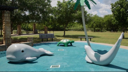 Niño muere por ameba comecerebros: se contagió mientras jugaba en un parque