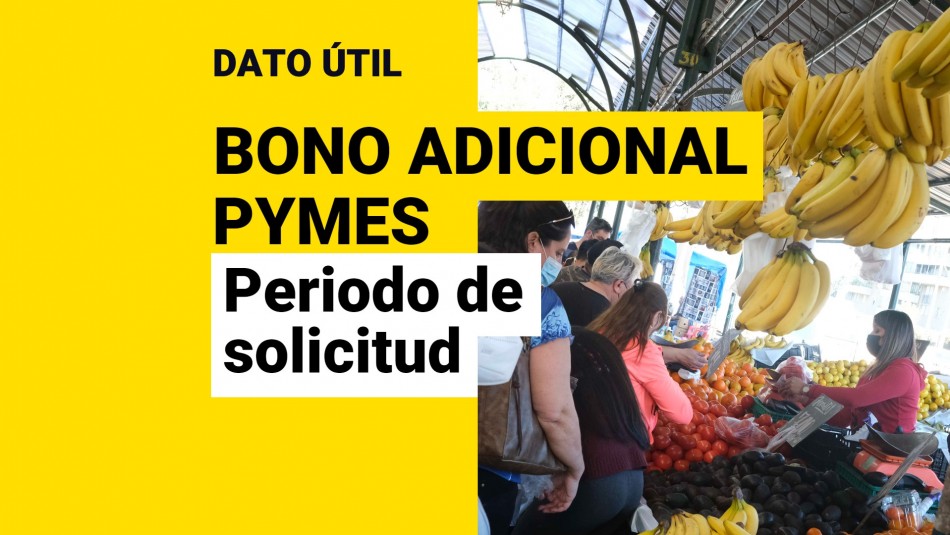 Bono Adicional IVA para Pymes: ¿Hasta cuándo se puede solicitar el beneficio y qué requisitos debo cumplir?