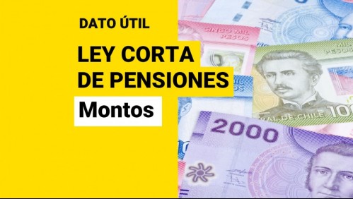 Proponen nuevo monto para la Pensión Básica Solidaria: ¿Cuánto dinero recibirían los jubilados?