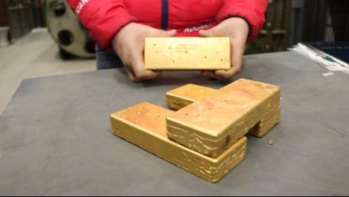 Fue detenida banda que robó 17 lingotes de oro desde la bóveda secreta de un multimillonario alemán en Uruguay