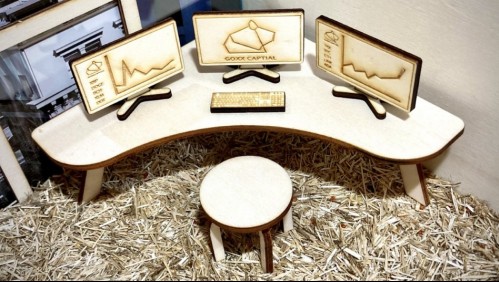 Hámster invierte en criptomonedas y le va mejor que a los humanos: Su empresa tiene ganancias del 20%