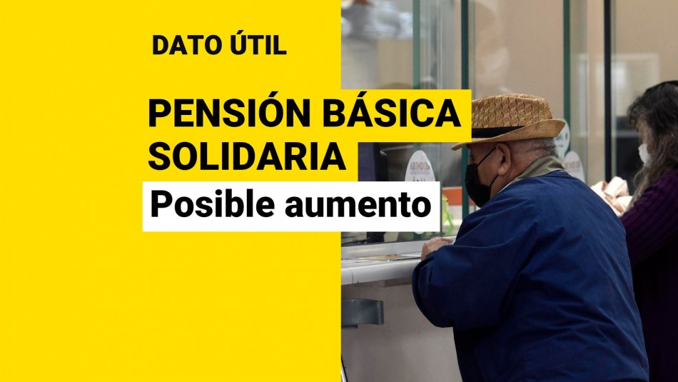 Ley corta de pensiones pbs pension basica solidaria
