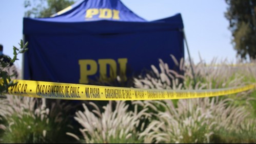 Investigan causa de muerte de hombre cuyo cadáver fue devorado por animales en Coronel