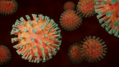 Investigadores japoneses descubrieron nuevo virus: Estos son los síntomas