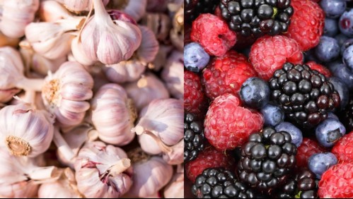 Olvida los suplementos: Estos son los alimentos que más colágeno aportan