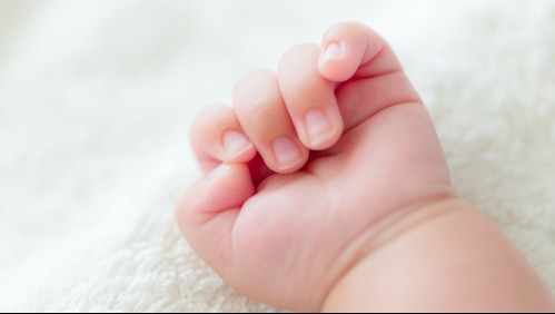 Bebé de un año muere tras ser brutalmente atacada por los perros de su tío