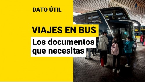 Fin de semana largo: ¿Qué documentos necesito para viajar en bus?