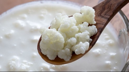 Kéfir: Estos son los beneficios del 'yogur de pajaritos'