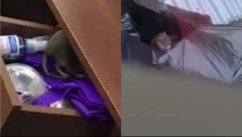 [VIDEO] Ratones de gran tamaño invaden centro donde se realiza trazabilidad de coronavirus en Concepción