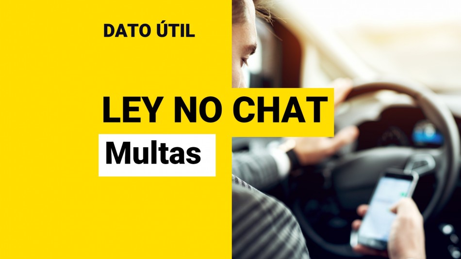 ley-no-chat ley no chat