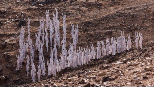 Nuevo trabajo de Spencer Tunick: Cerca de 300 personas posaron desnudas en desierto de Israel