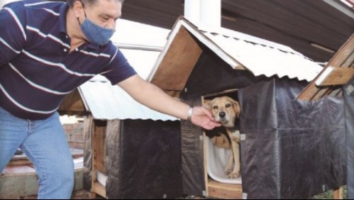 Taxista conmueve al gastar sus ahorros en construir casas para perros comunitarios: 'Vengo hasta en vacaciones'