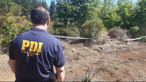 Sorprenden a un perro con una extremidad humana: luego de investigar hallaron más restos en el lugar