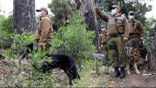 Intensa búsqueda de adulto mayor desaparecido en Viña: su familia dice que los llamó para decirles que tuvo un accidente