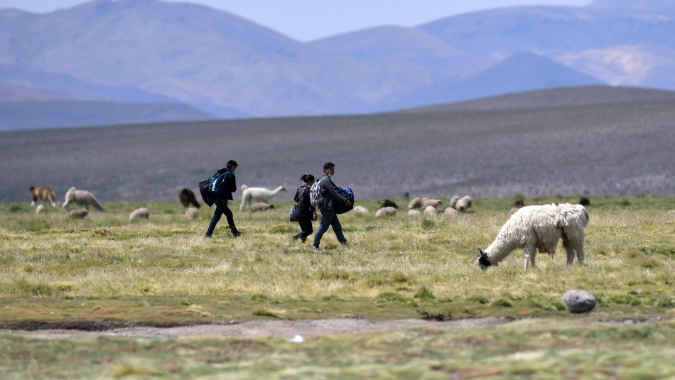 imagen-referencial Encuentran muerta a mujer migrante que cruzó la frontera por un paso no habilitado en Colchane