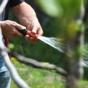 Así podrás regar mejor: Estas son las características que deberían tener las mangueras para el verano Así podrás regar mejor: Estas son las características que deberían tener las mangueras para el verano