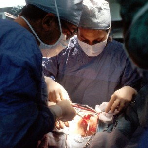 Trasplantan por primera vez riñón de un cerdo genéticamente modificado a un humano Trasplantan por primera vez riñón de un cerdo genéticamente modificado a un humano